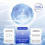 Gluta Drink Manufacturer - Hydrolyzed Fish Bird's Nest Collagen Biotin