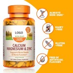 L-Carnitine Tablets Manufacturer - Vegan Energy Support Rapid Workout Recovery