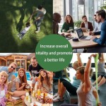 Inositol Capsules Supplier - Myo D-chiro Chromium Plus Folate Vitamin D