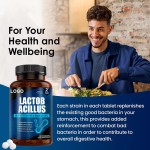 Turmeric Tablets Factory - Organic Curcumin Ginger Extract Antioxidant Neural