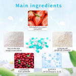 Probiotic Capsules Manufacturer - OEM Enzyme Antioxidant Immune