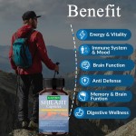 Shilajit Capsule Manufacturer - Natural Pure Himalayan Food Supplement