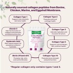 Collagen Peptides Powder Supplier - OEM ODM Skin Hair Joint Anti Aging