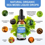 Sea Moss Drops Manufacturer - Wholesale Price Premium Natural Antioxidant
