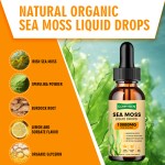 Sea Moss Drops Supplier - Top Quality with Burdock Root Irish Moss