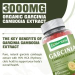 Garcinia Gummies Factory - OEM ODM Organic Slimming Weight Management