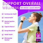 Sea Moss Drops Supplier - Long Lasting Private Label Irish Moss Food