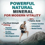 Shilajit Extract Supplier - Private Label High Trace Minerals Supplement