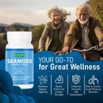 Sea Moss Capsules Supplier - OEM ODM Advanced Ashwagandha Burdock Root