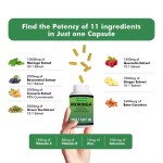 Moringa Capsules Manufacturer - Organic Pure Leaf Energy Immune Support