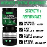 Creatine Powder Supplier - Private Label Monohydrate Pre Workout Muscle