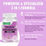 Creatine Chews Supplier - Improved Absorption Pre-Workout Monohydrate Tablets