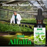 Alfalfa Drops Manufacturer - Factory Direct Immune System Energy Detox