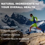 Shilajit Capsule Manufacturer - Natural Pure Himalayan Food Supplement
