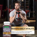 Shilajit Gummies Factory - Hot Sell OEM Private Label Organic Energy Support