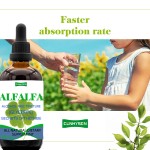 Alfalfa Drop Liquid Supplier - OEM ODM Tincture Drops Natural Detox