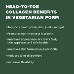 Collagen Tablets Supplier - Collagen Peptides Prebiotic Probiotic Blend