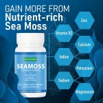 Sea Moss Capsules Supplier - OEM ODM Advanced Ashwagandha Burdock Root