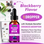 Sea Moss Drops Supplier - Long Lasting Private Label Irish Moss Food