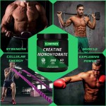 Creatine Powder Supplier - Private Label Monohydrate Pre Workout Muscle