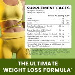 Green Coffee Gummies Supplier - Private Label Organic Extract Fat Burner