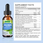 Sea Moss Drops Manufacturer - Wholesale Price Premium Natural Antioxidant
