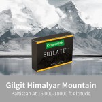 Shilajit Extract Pills Supplier - Pure Himalayan Organic Fulvic Minerals