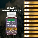 Shilajit Gummies Factory - Hot Sell OEM Private Label Organic Energy Support