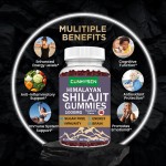 Shilajit Gummies Factory - Hot Sell OEM Private Label Organic Energy Support