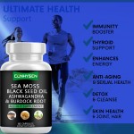 Sea Moss Capsules Manufacturer - Private Label Herbal Black Seed Oil 95%