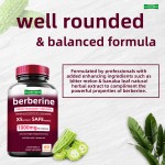 Berberine Capsules Manufacturer - High Purity 1000mg Plant Extract Immune