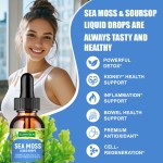 Sea Moss Drops Manufacturer - Wholesale Price Premium Natural Antioxidant