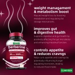 Berberine Capsules Manufacturer - High Purity 1000mg Plant Extract Immune