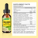 Sea Moss Drops Manufacturer - Hot Selling with Vitamin D3 Irish Moss