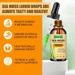 Sea Moss Drops Supplier - Top Quality with Burdock Root Irish Moss