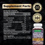 Shilajit Gummies Factory - Hot Sell OEM Private Label Organic Energy Support