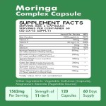 Moringa Capsules Manufacturer - Organic Pure Leaf Energy Immune Support