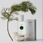 Body Mist Supplier - OEM Sage Leaf Long Lasting Perfume