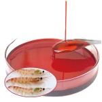 Krill Oil Supplier - OEM Antarctic 500mg Phospholipid Omega-3