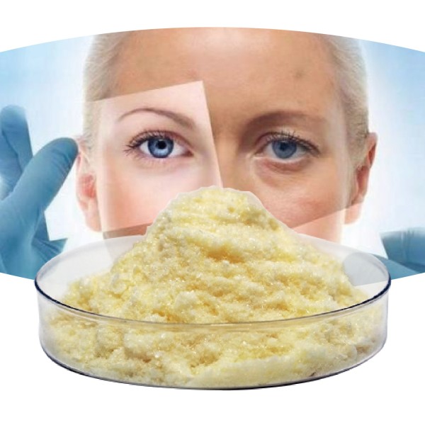 NMNH Powder Supplier - High Purity Raw Material CAS 108347-85-9