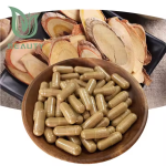 Tongkat Ali Powder Supplier - Customized 200:1 Concentrated Root Extract