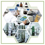 Melatonin Gummies Factory - Natural Berry Flavor 5mg Pectin Based Sleep