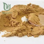 Monk Fruit Powder Supplier - OEM Organic 10:1-98% Mogrosides Sweetener