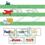 Water Lily Extract Factory - OEM Pure Nymphaea Alba 10:1 Food Grade