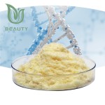 NMNH Powder Supplier - High Purity Raw Material CAS 108347-85-9