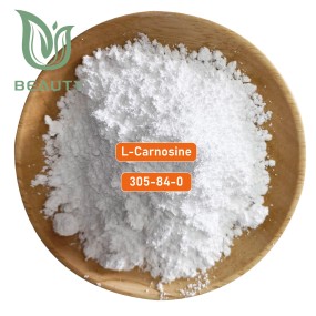 L-Carnosine Powder Factory - High Quality Anti Aging Raw Material CAS 305-84-0
