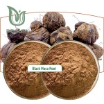 Black Maca Powder Supplier - High Quality 10:1 Extract Root Powder