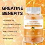Creatine Gummies Manufacturer - OEM/ODM 5g Serving Plant Based Muscle