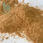 Water Lily Extract Factory - OEM Pure Nymphaea Alba 10:1 Food Grade