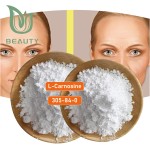 L-Carnosine Powder Factory - High Quality Anti Aging Raw Material CAS 305-84-0